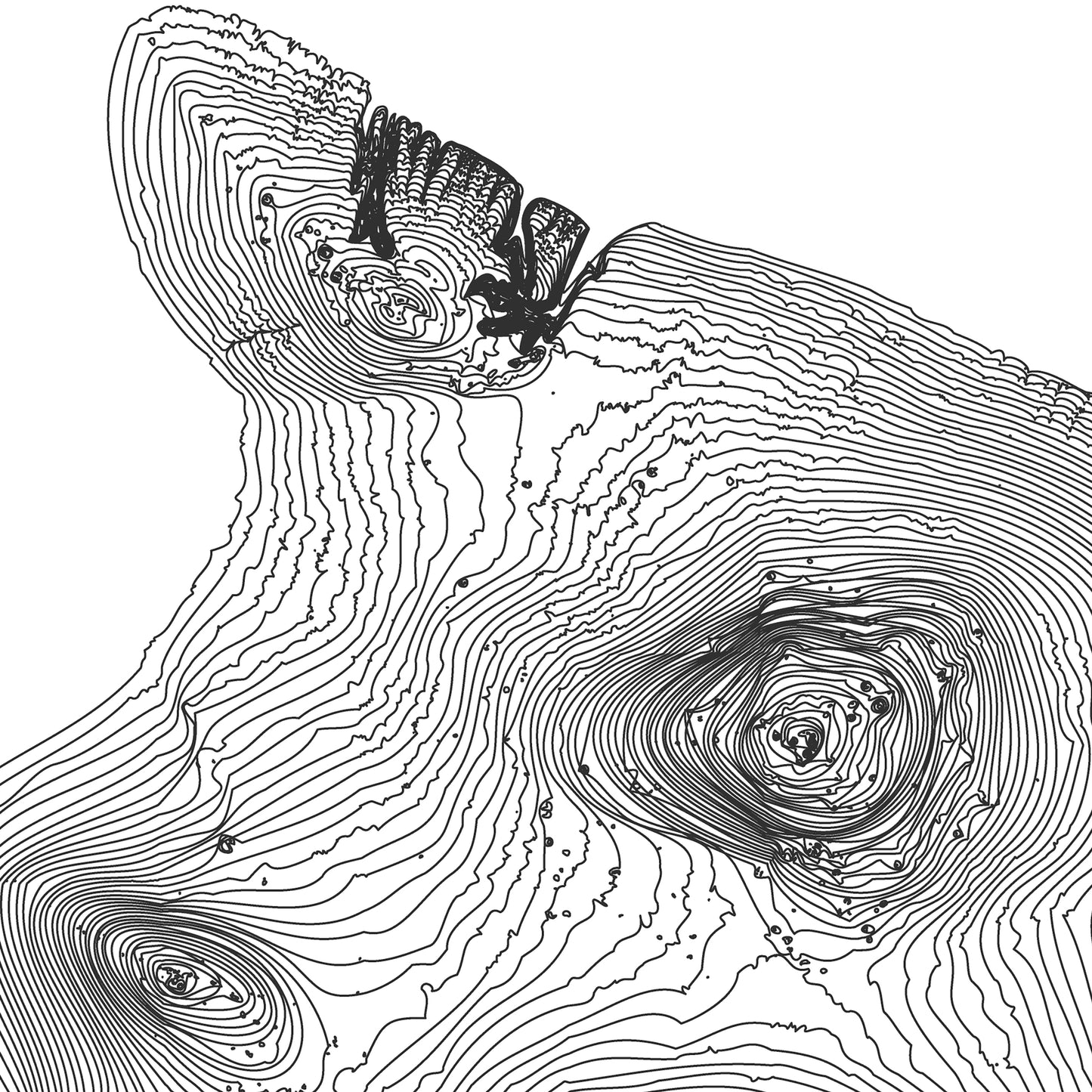 Island of Hawaii Topo Map