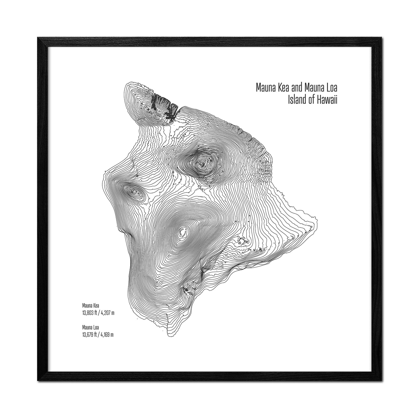 Island of Hawaii Topo Map