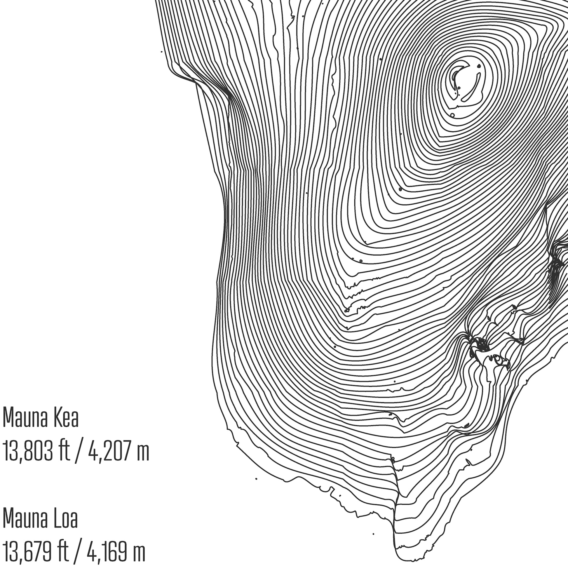 Island of Hawaii Topo Map
