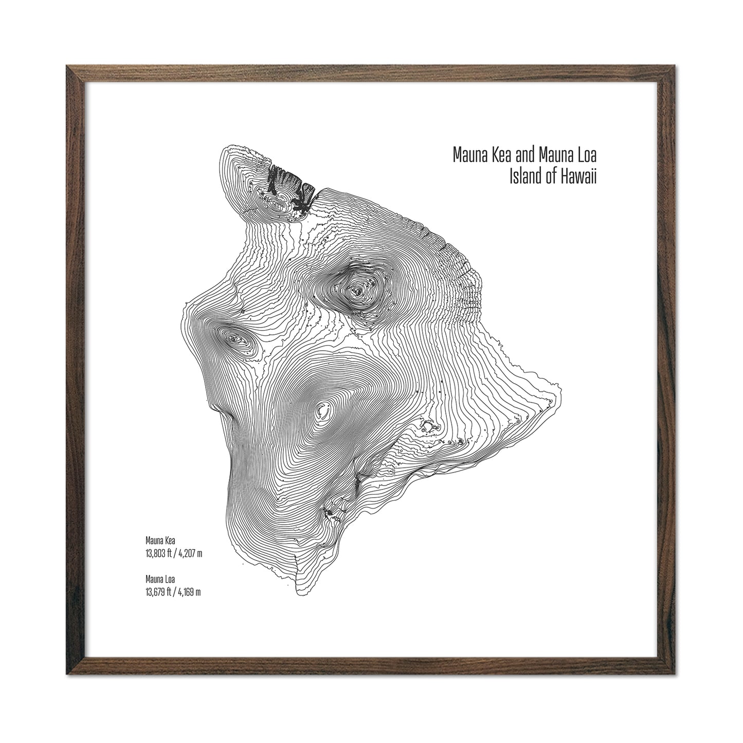 Island of Hawaii Topo Map