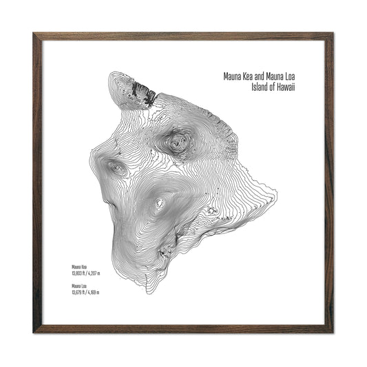 Island of Hawaii Topo Map