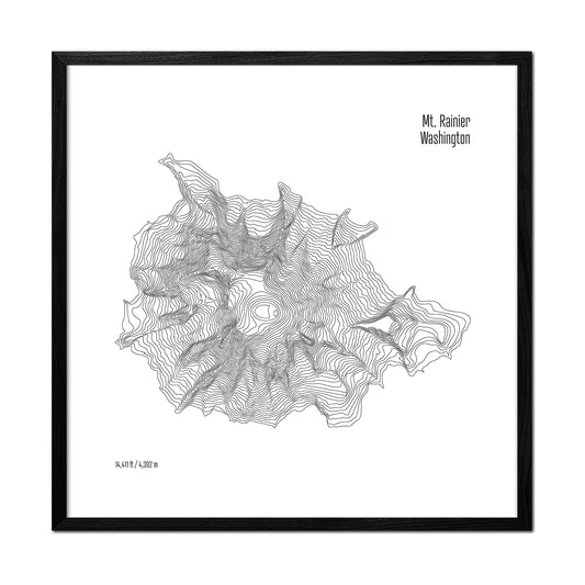 Mt Rainier Topo Map