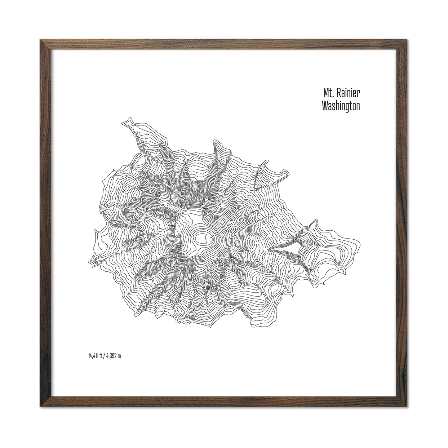 Mt Rainier Topo Map